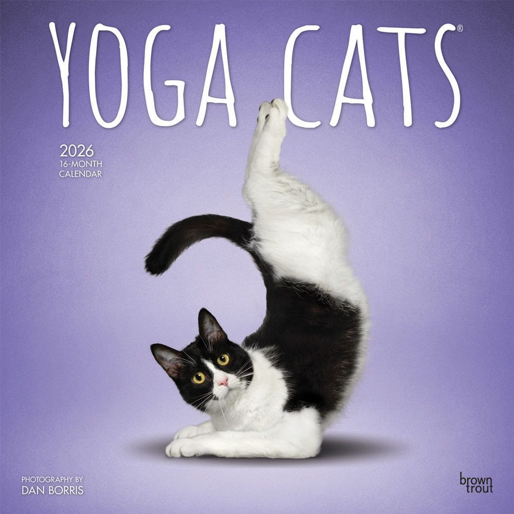 Brown Trout Publisher 2026 Yoga Cats Monthly Square Wall Calendar, 12-In x 24-In