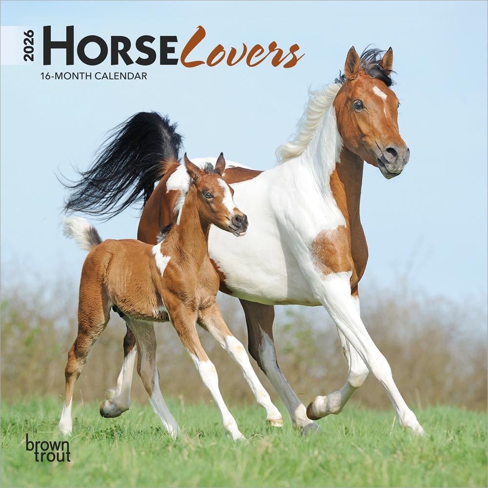 Brown Trout Publisher 2026 Horse Lover Monthly Mini Wall Calendar, 7-In x 14-In
