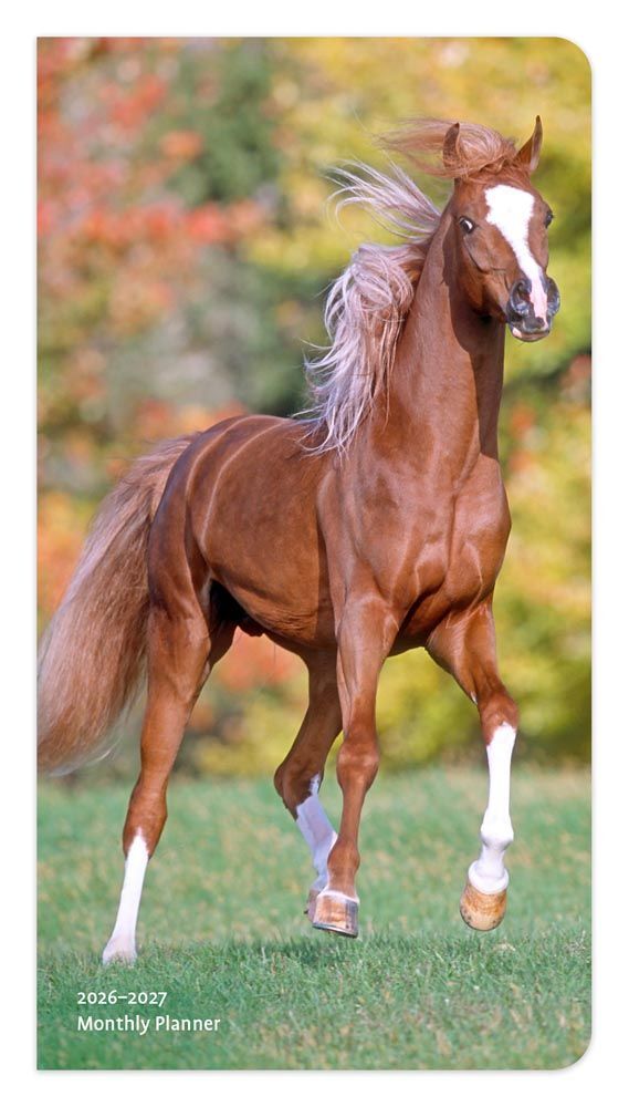 Brown Trout Publisher 2026-2027 Horse Lovers Monthly Pocket Planner Calendar, 3.5-In x 6.5-In