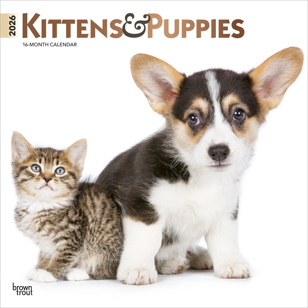 Brown Trout Publisher 2026 Kittens & Puppies Monthly Square Wall Calendar, 12-In x 24-In