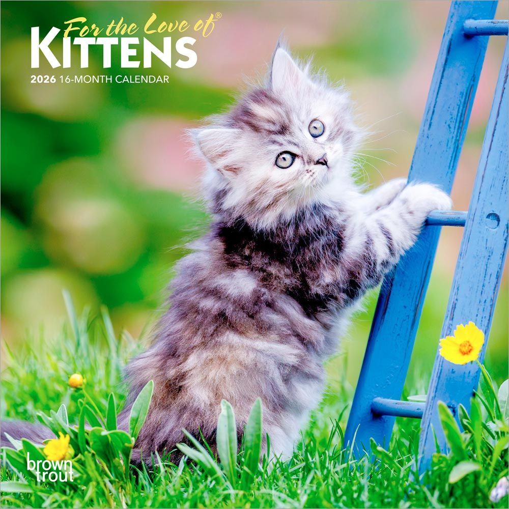Brown Trout Publisher 2026 For the Love of Kittens Monthly Mini Wall Calendar, 7-In x 14-In