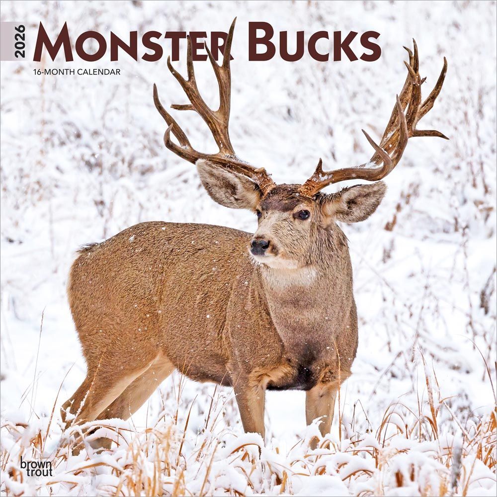 Brown Trout Publisher 2026 Moster Bucks Monthly Square Wall Calendar, 12-In x 24-In