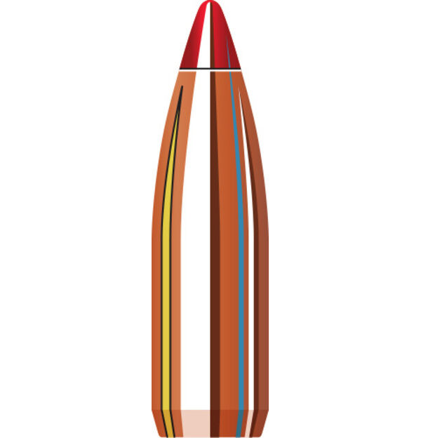 22 Cal 0.224 53 grain V-MAX®