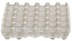 Egg Flats 30 Count 5 x 6 Package of 12