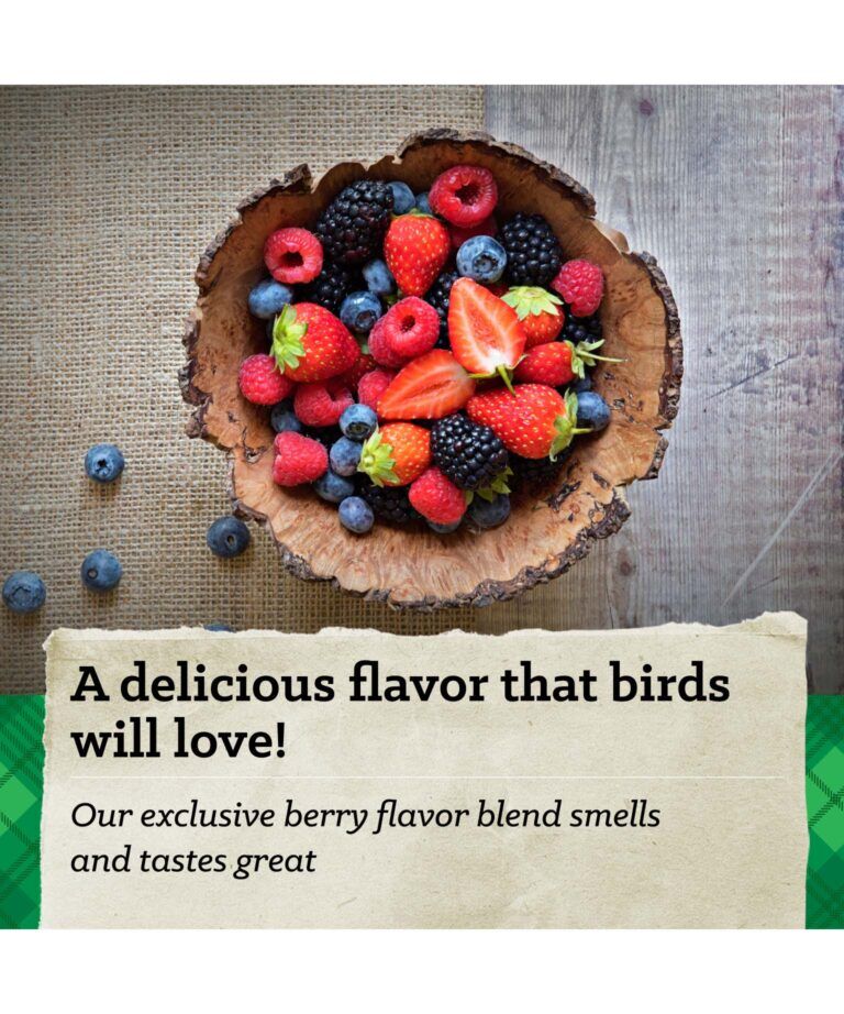 Nutrena Hi Pro Scratch Grains 7-Lb