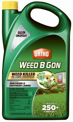 Ortho Weed B Gon Lawn Weed Killer, Ready-To-Spray - 32 oz