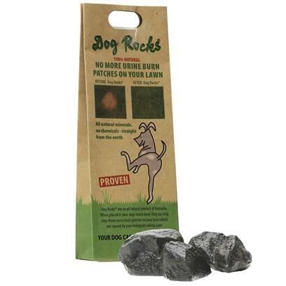 Dog Rocks