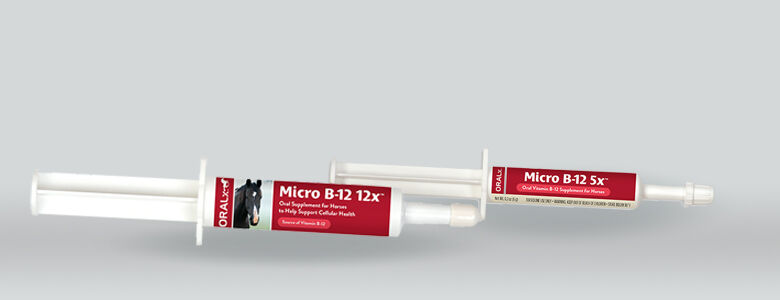 Micro B-12 Oral Supplement for Horses, 32-cc