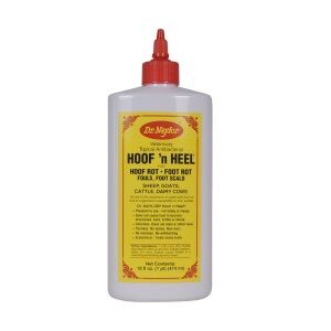 Dr. Naylor Hoof ‘n Heel, 16-oz Bottle 