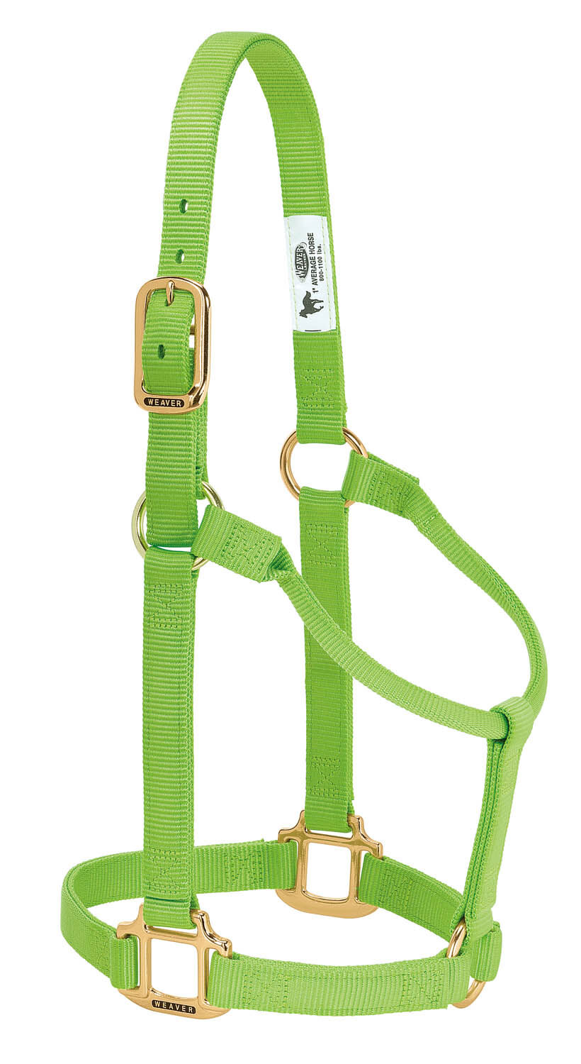 1" MED LIME ORIG NONADJ HALTER