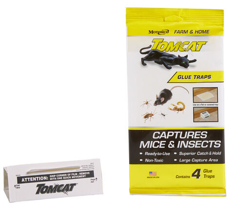 Tomcat Glue Traps, 4-Pk