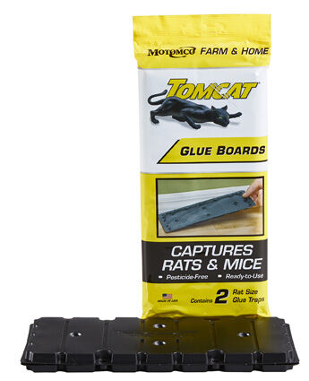 Tomcat Large Glue Boards, 2-Pk