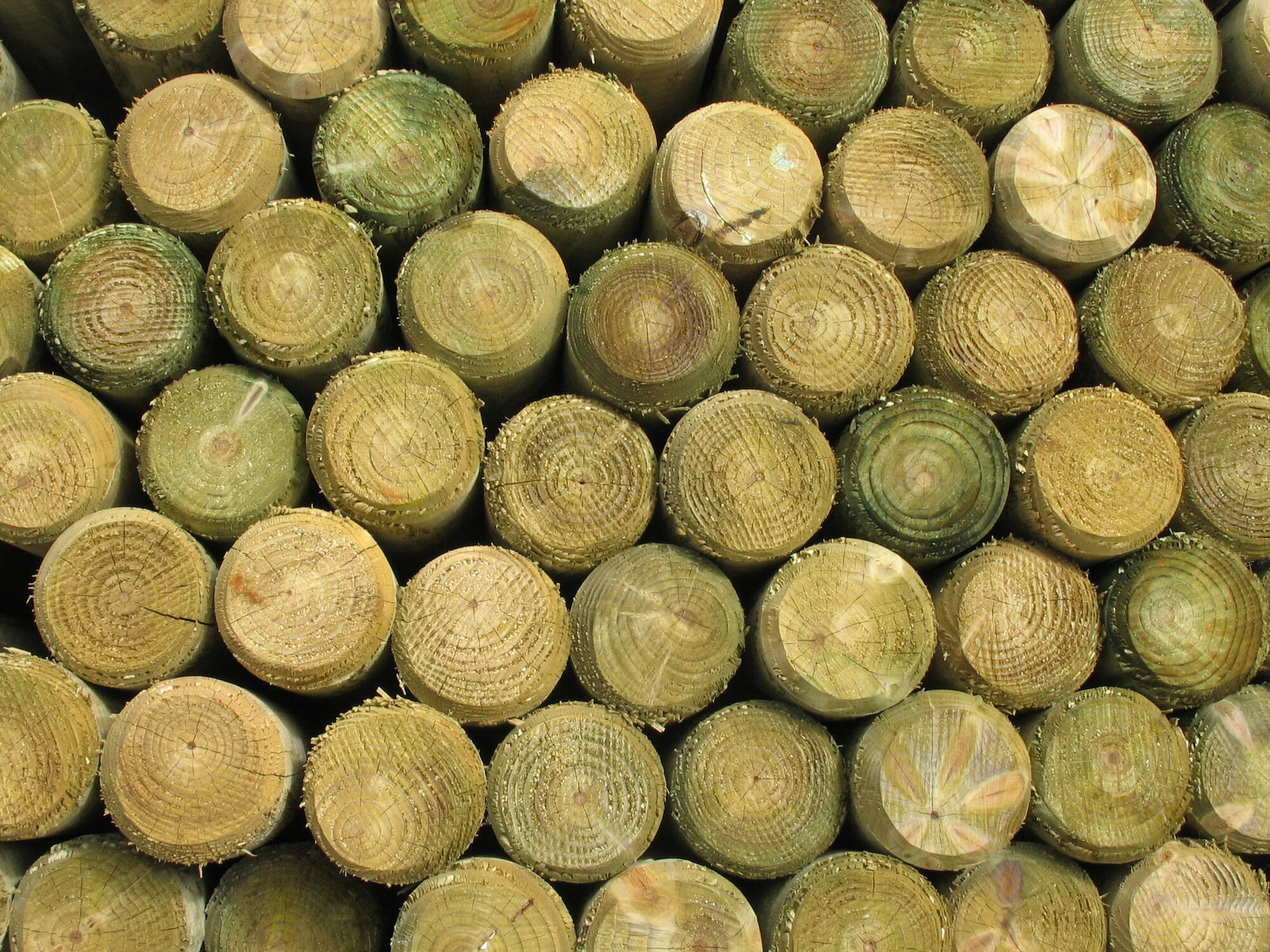 4-In x 10-Ft Douglas Fir Pressure Treated Round Wood Fence Post
