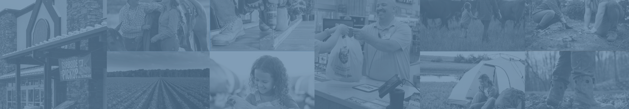 Store Banner